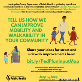 Mobility and Walkability 