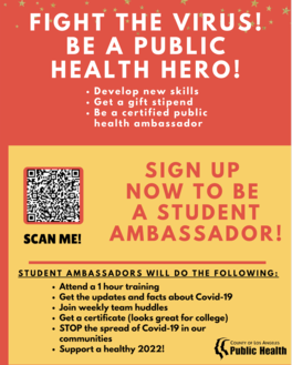 Student Ambassador