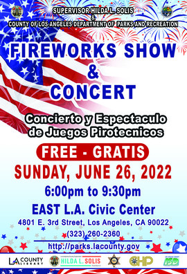 Fireworks Show in ELA