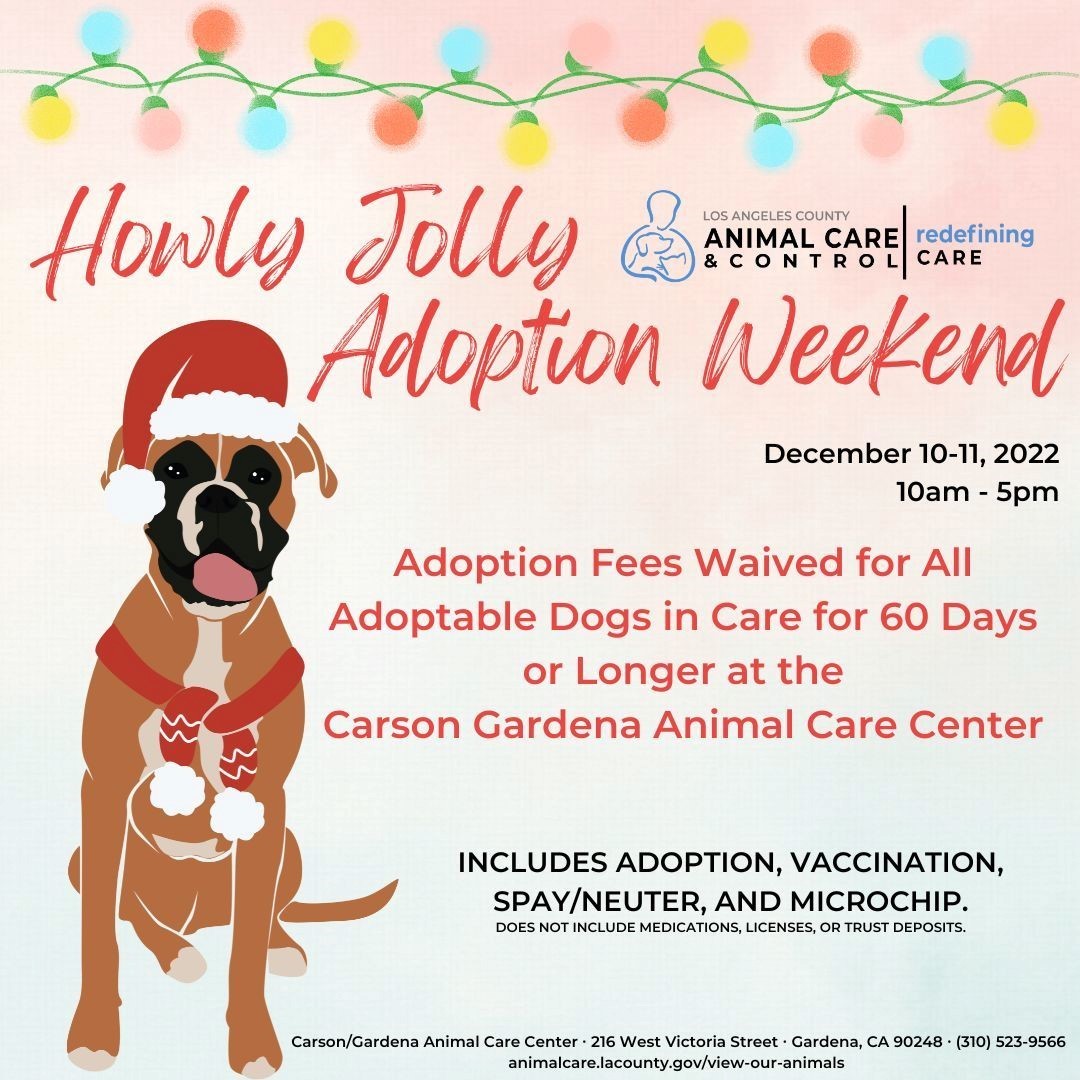 adoptionevent