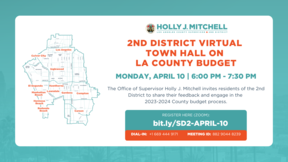 2nd District Virtual Town Hall on LA County Budget