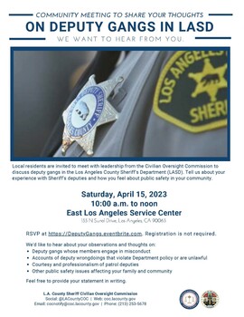 Townhall on Deputy Gangs