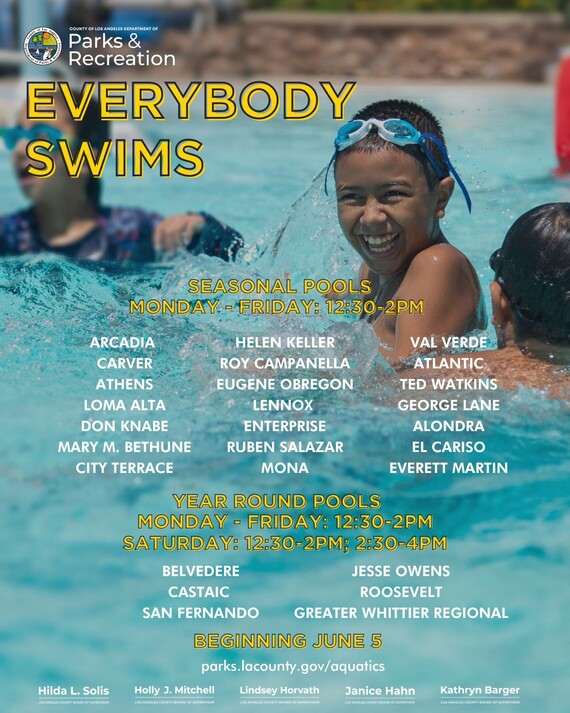 Everybody Swims