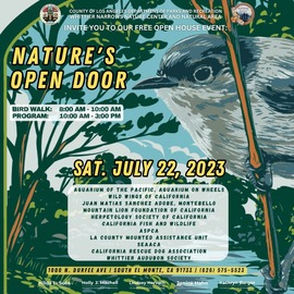 Nature's Outdoor Activities