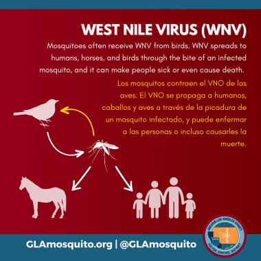 West Nile Virus Detected in Florence-Firestone