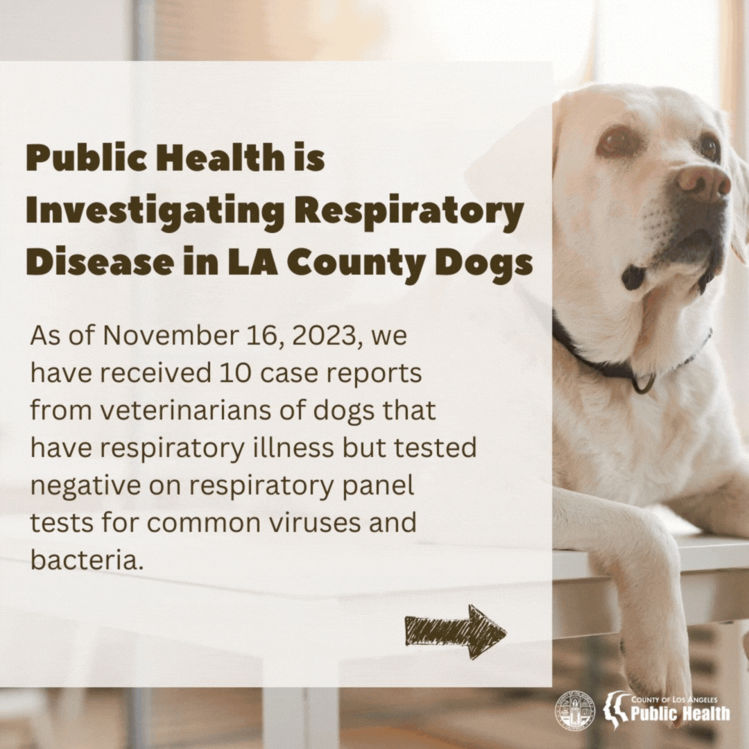 LAPH Respiratory Disease - Dogs