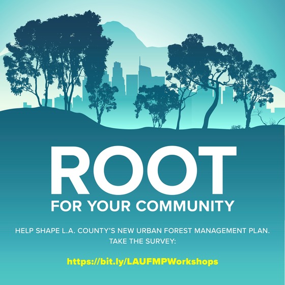 Root for your Community. Help Shape LA County's New Urban Forest Managment Plan. Click here to take the survey. 