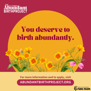 Abundant Birth Project