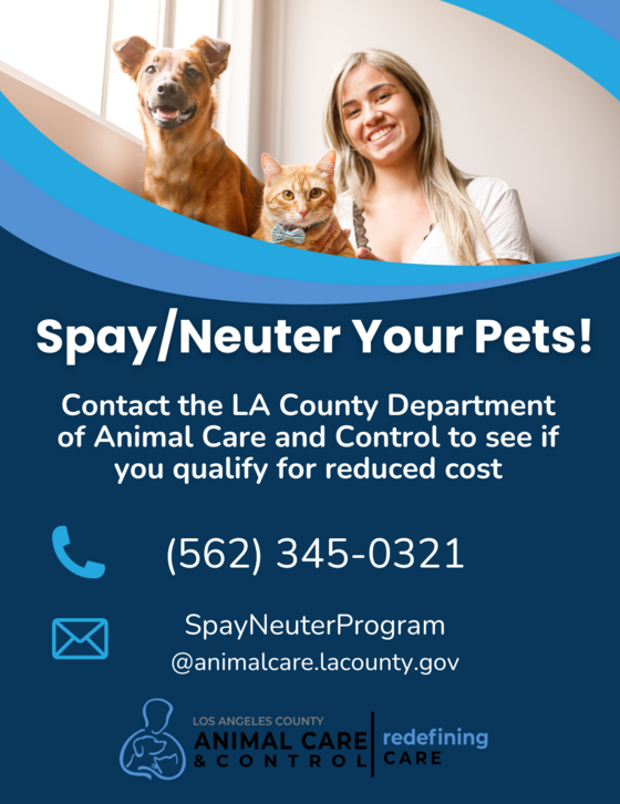 February is Spay/Neuter Awareness Month