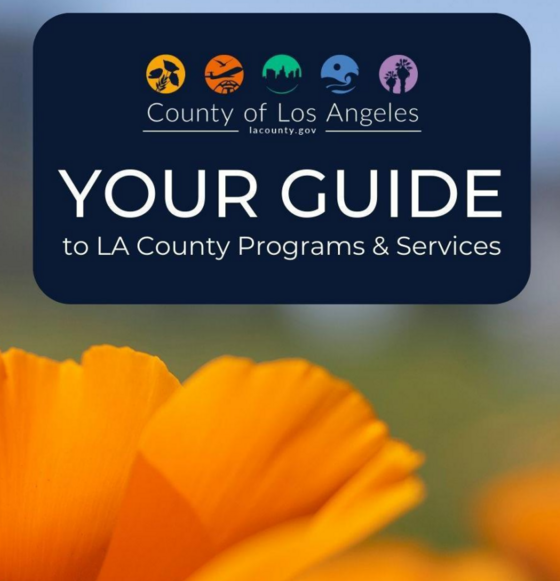 Your Guide to LA County Services