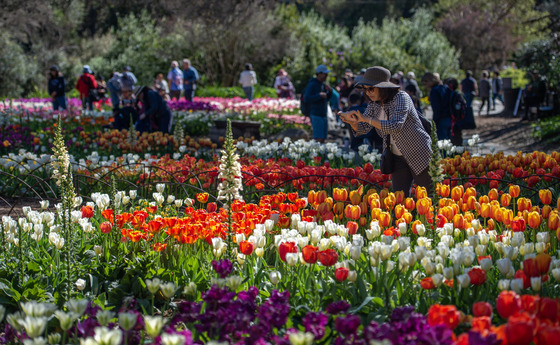 Descanso Gardens - Spring has Sprung!