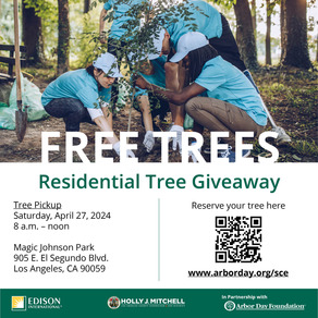 Free trees