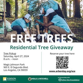 Residential Tree Giveaway