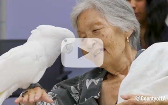 Patients at Rancho Los Amigos National Rehabilitation Center enjoy some animal therapy.