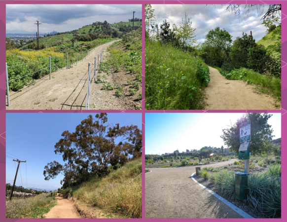 Balwdin Hills Wayfinding and Trail Improvement Project