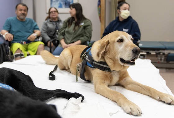 Rancho Los Amigo Animal Assisted Therapy Program 