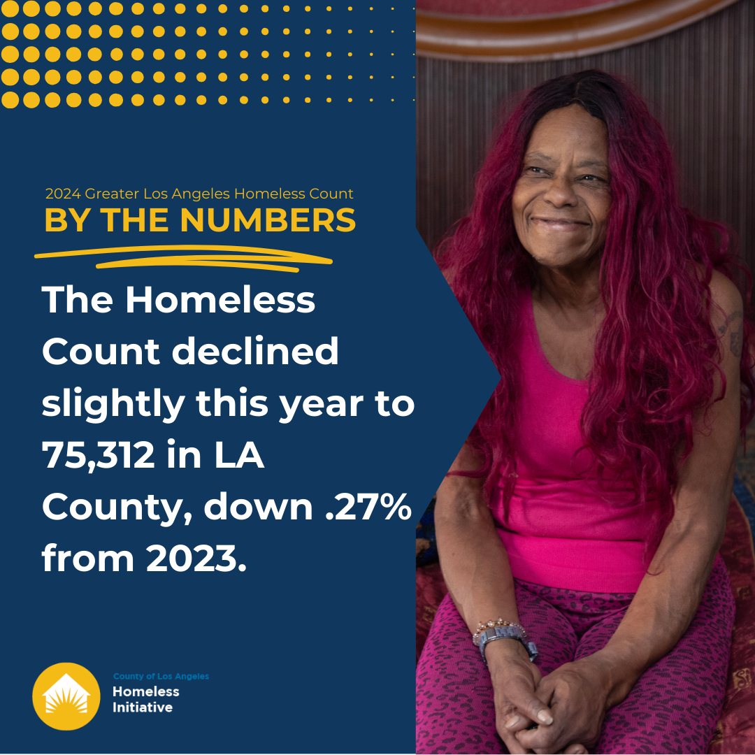 2024 Greater LA Homeless Count