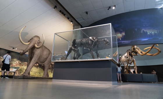 La Brea Tar Pits and Museum