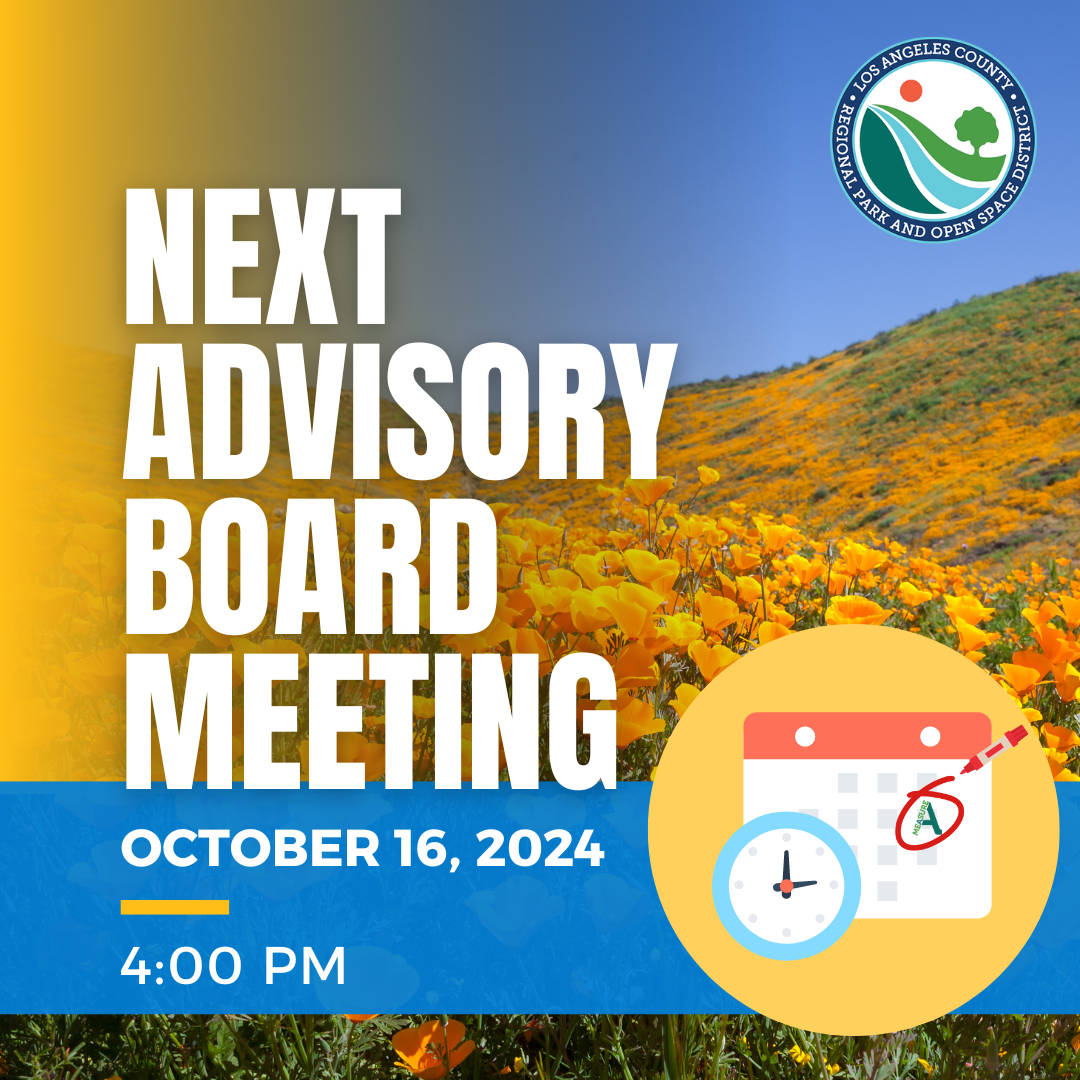 Advisory Board Social Media October 2024