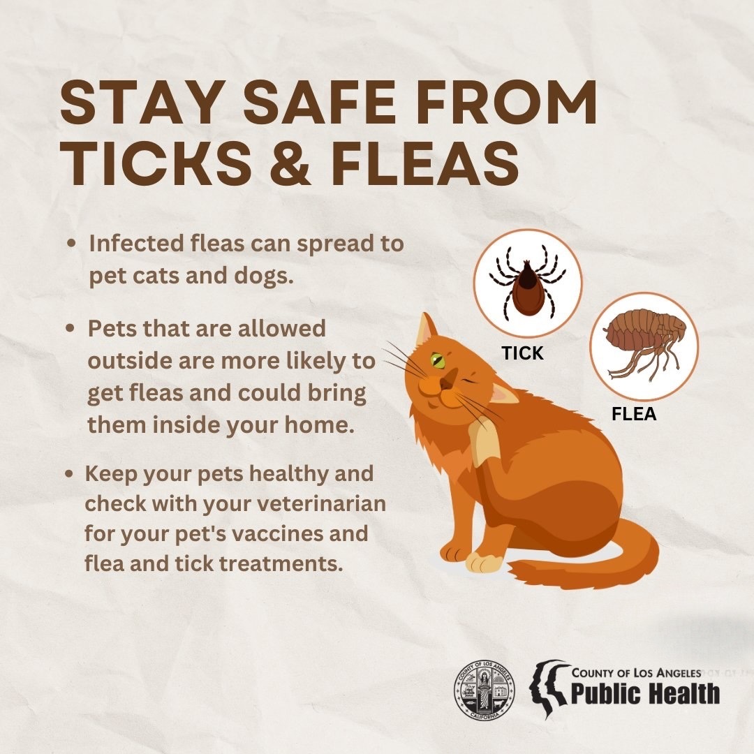 Fleas and Ticks