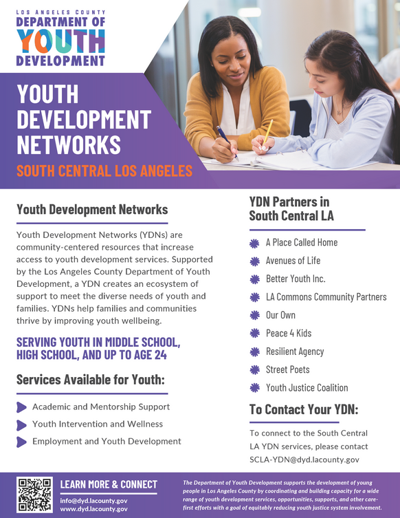 LA County Youth Development Networks