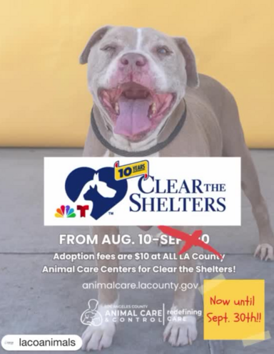 Clear the Shelters