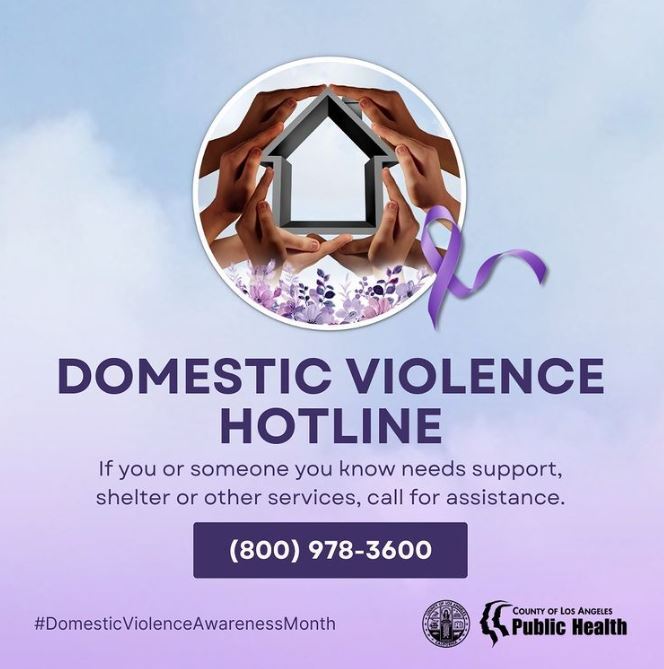 Domestic Violence Hotline flyer