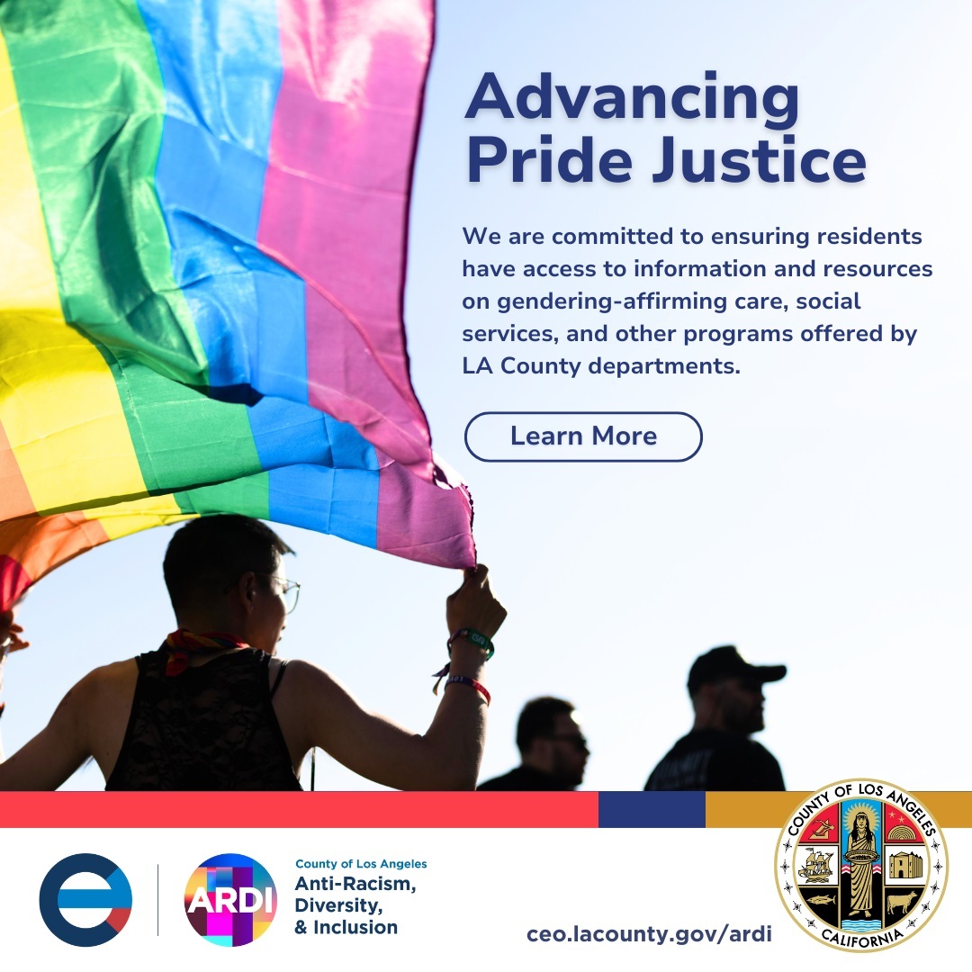 Man walking while holding up Progress Pride Flag and two men walking ahead of him with three seals at the bottom of flyer