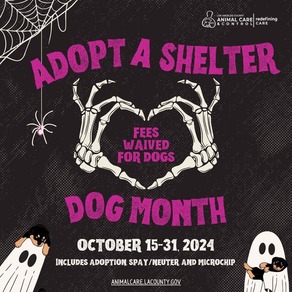 adopt a Shelter dog month