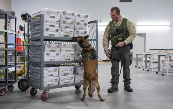 Sheriff deputy with a canine sniffing through cart with voting ballots