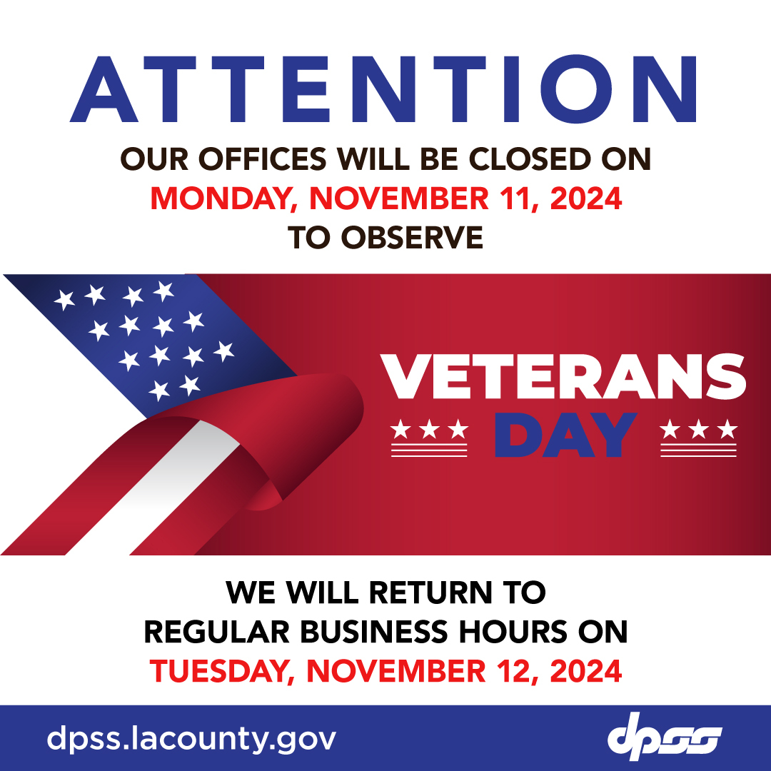 OBSERVING VETERANS DAY