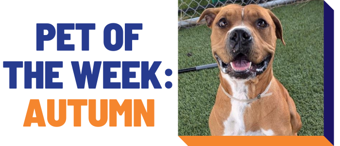 Pet of the Week: Autumn