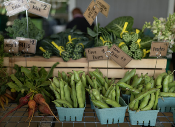 Peas, Kale, beets, and other vegetables at Alma Backyard Farms in Compton