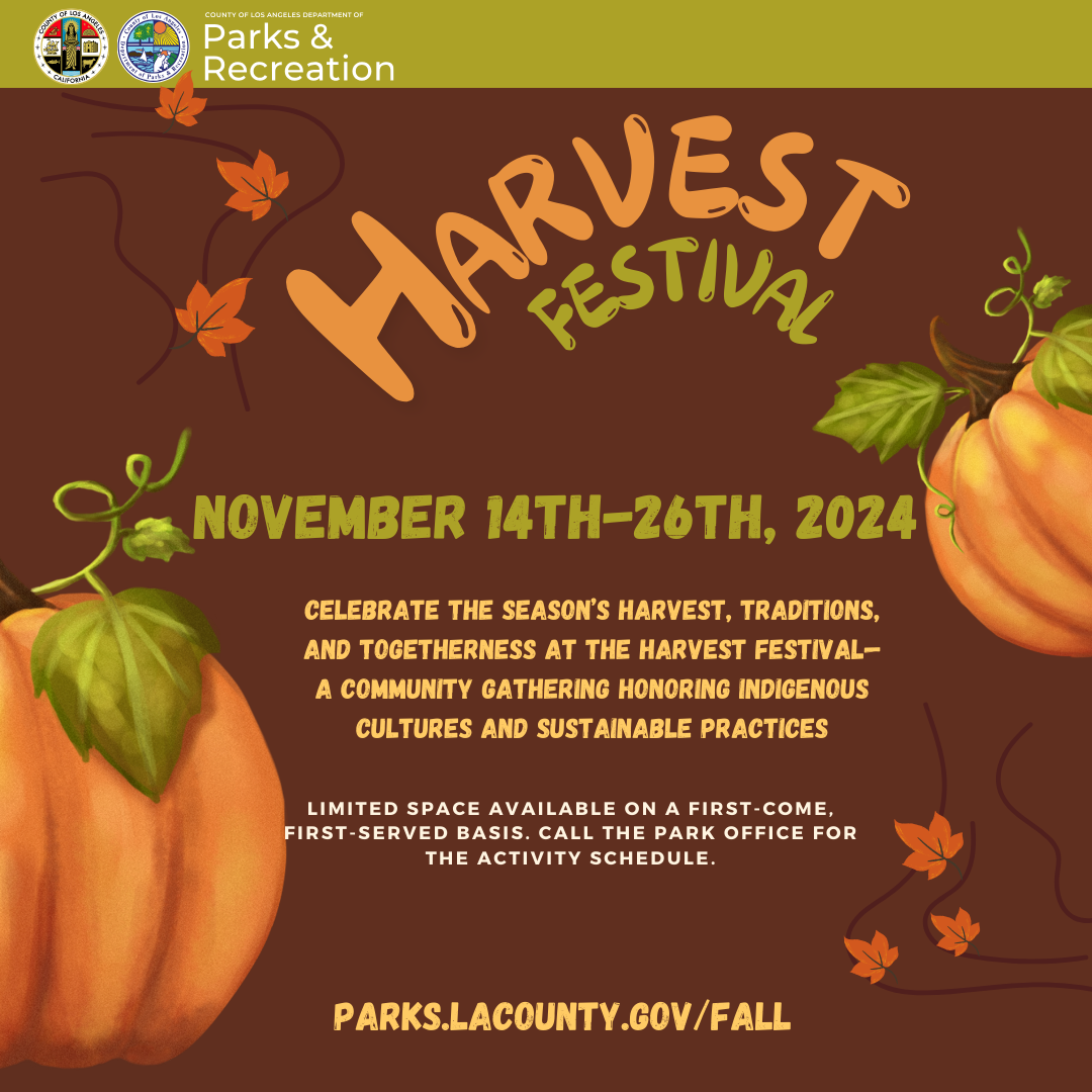 Pumpkins on the ends of the document with text and orange leaves on flyer