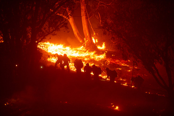 Bright orange fire burning through trees and fire fighters fighting the Franklin Fire in Malibu