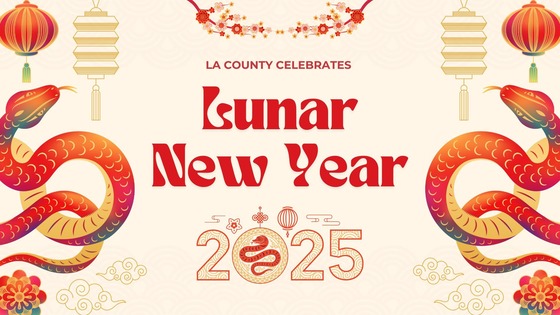 Two red snakes with lanterns hanging for Lunar New Year 2025 banner