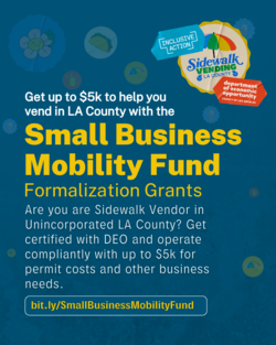 Small Business Mobility Fund Formalization Grants