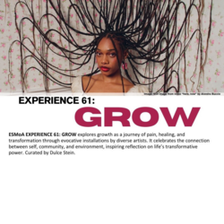Experience 61: Grow