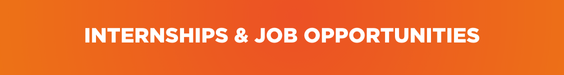 Internship and Job Opportunities