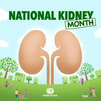 kidney