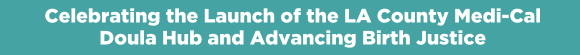 Celebrating the Launch of the LA County Medi-Cal Doula Hub and Advancing Birth Justice