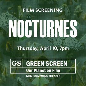 Natural History Museum Film Screening Nocturnes