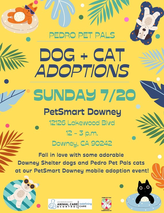 Pedro Pet Pals event in Downey