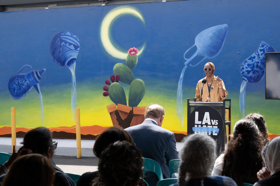 Supervisor Mitchell Gives Speech at Mural Reveal at Islamic Center