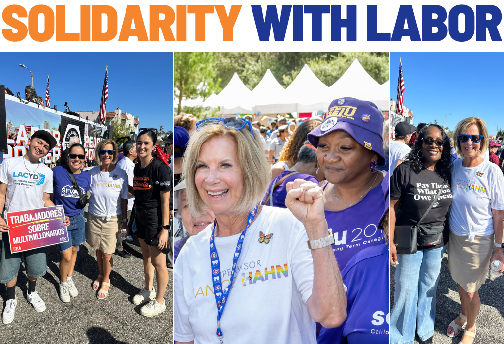 Solidarity with labor