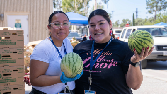 OVMC produce distribution