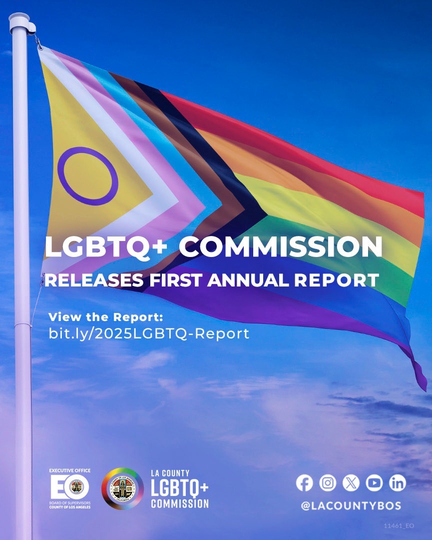 LGBTQ Commission