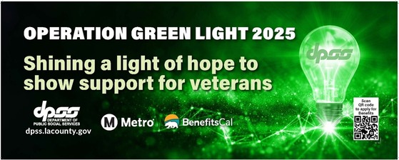 Operation Green Light 2025
