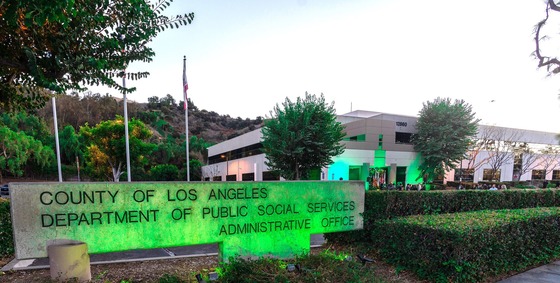 Operation Green Light 2024