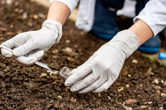a pair of gloves hands put a soil sample into a test tube